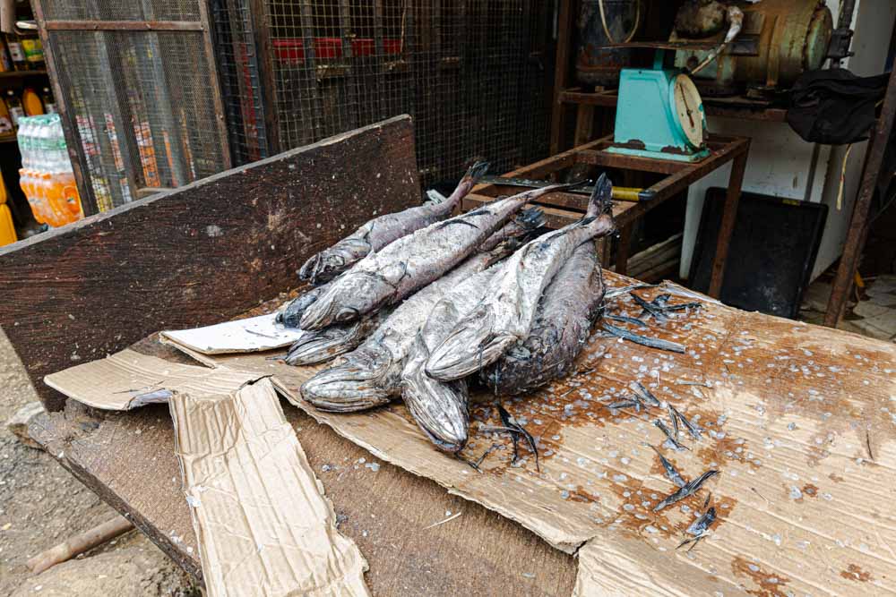 Fish Market in Kado phase 2