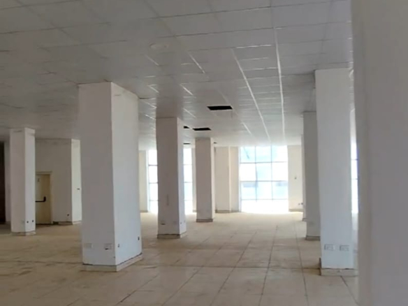 WhatsApp Image 2025 01 29 at 2.16.04 AM