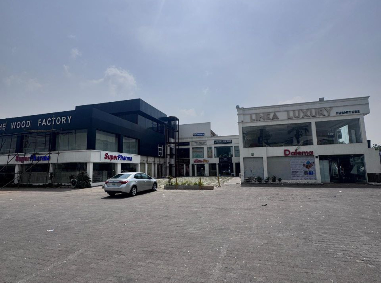 photo 5945270649872303466 y