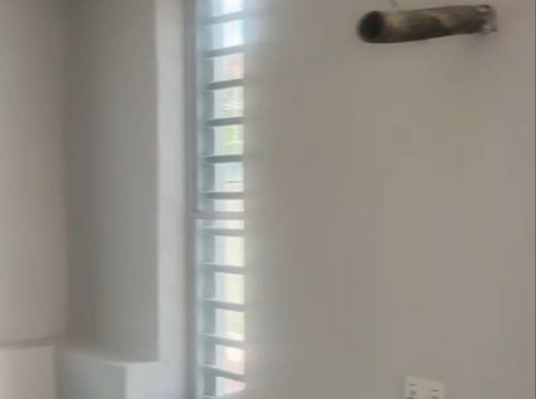 photo 6028482544560883168 y