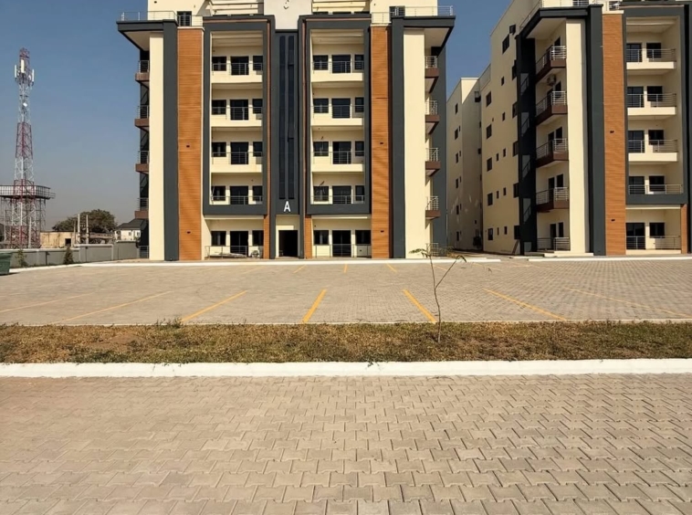 photo 5958262603820157475 y