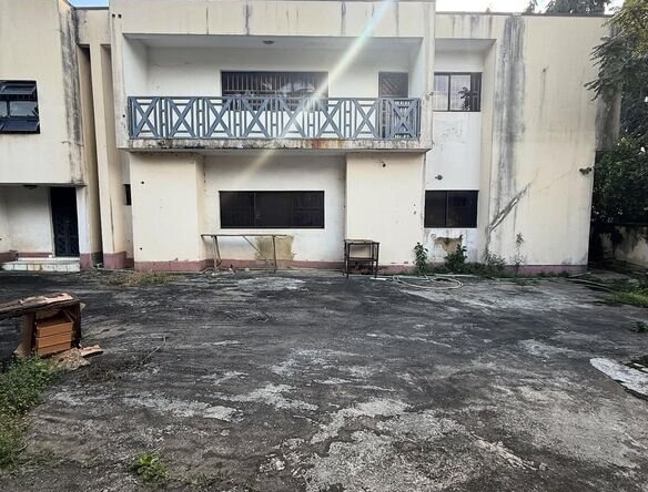 photo 6041787936635817964 y 1 optimized 100