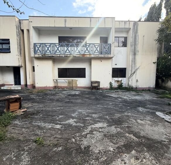 photo 6041787936635817964 y 1 optimized 100