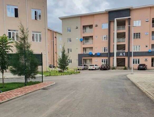 photo 5783045684951976887 x optimized 100