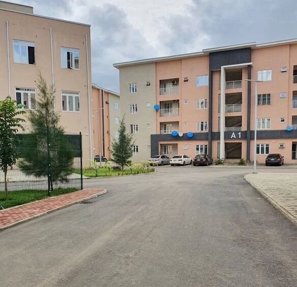 photo 5783045684951976887 x optimized 100