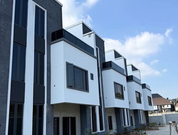 photo 5783045684951976924 y optimized 100