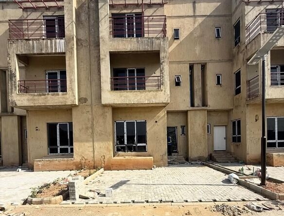 photo 5783045684951976937 y optimized 100