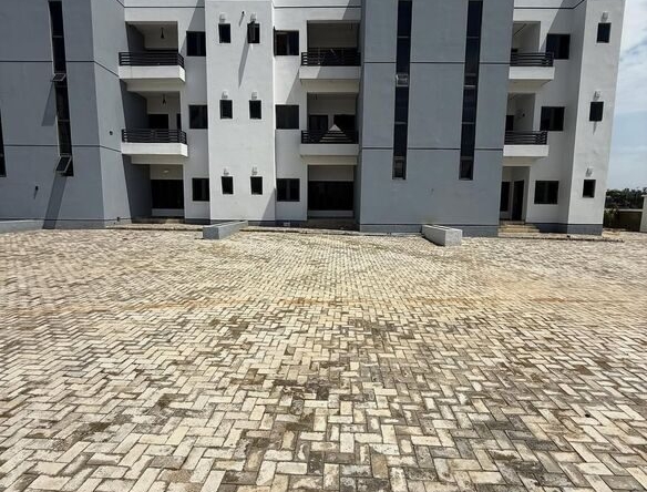 photo 6041787936635817977 y optimized 100