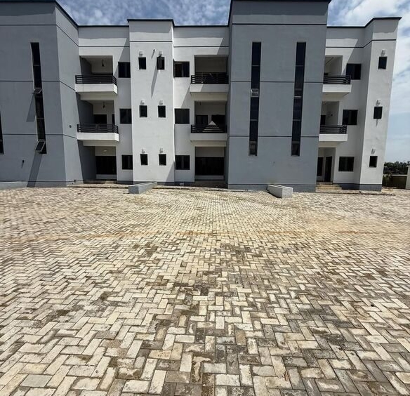 photo 6041787936635817977 y optimized 100