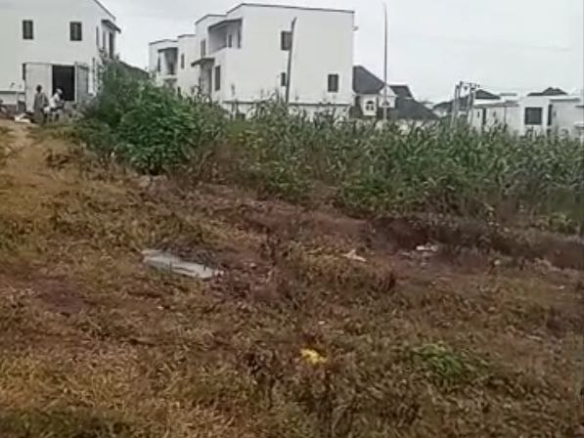 1,983 SQM Land for Sale in Asokoro Main, Abuja 2