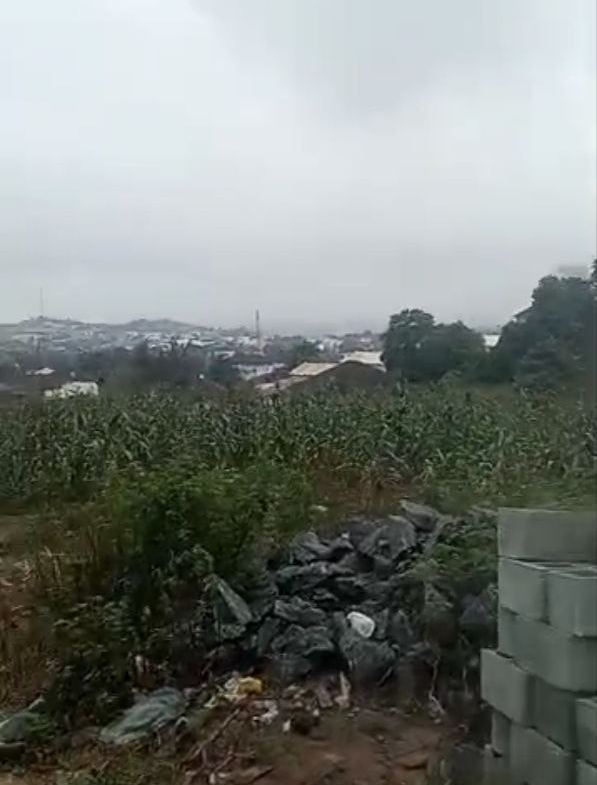 1,983 SQM Land for Sale in Asokoro Main, Abuja