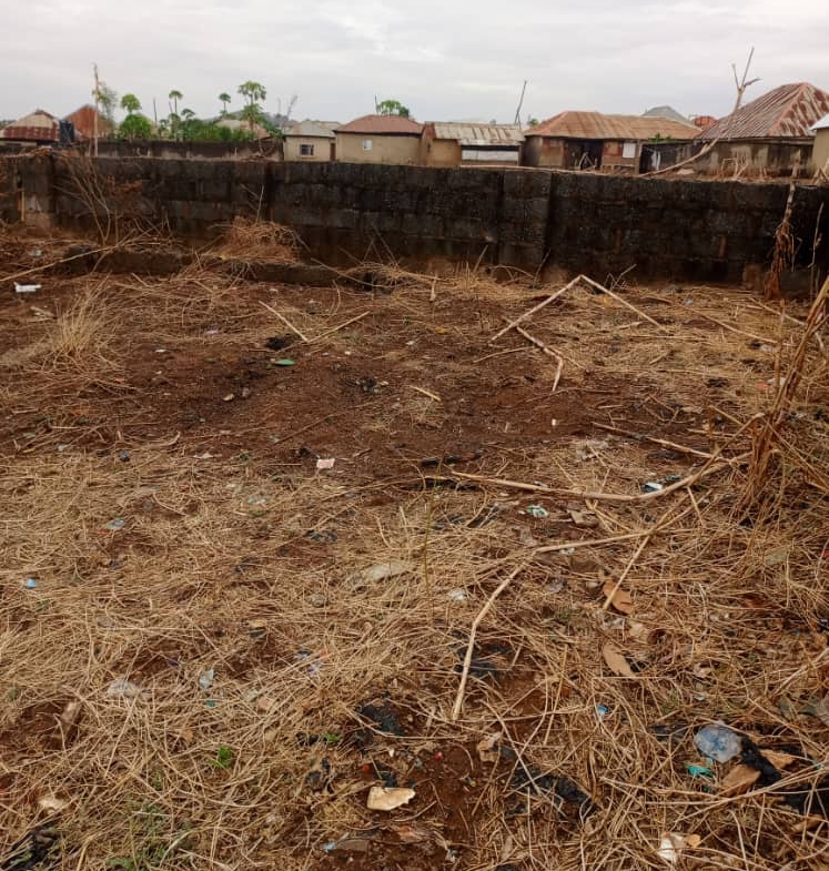 Kabusa Listing presents a 2060sqm virgin land for sale in Kabusa