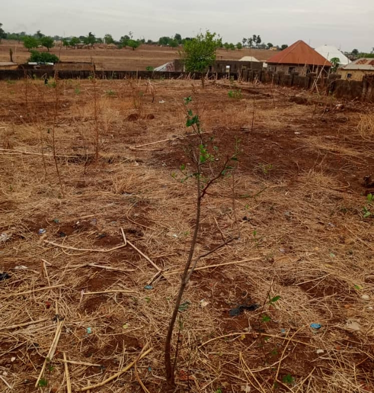 Kabusa Listing presents a 2060sqm virgin land for sale in Kabusa