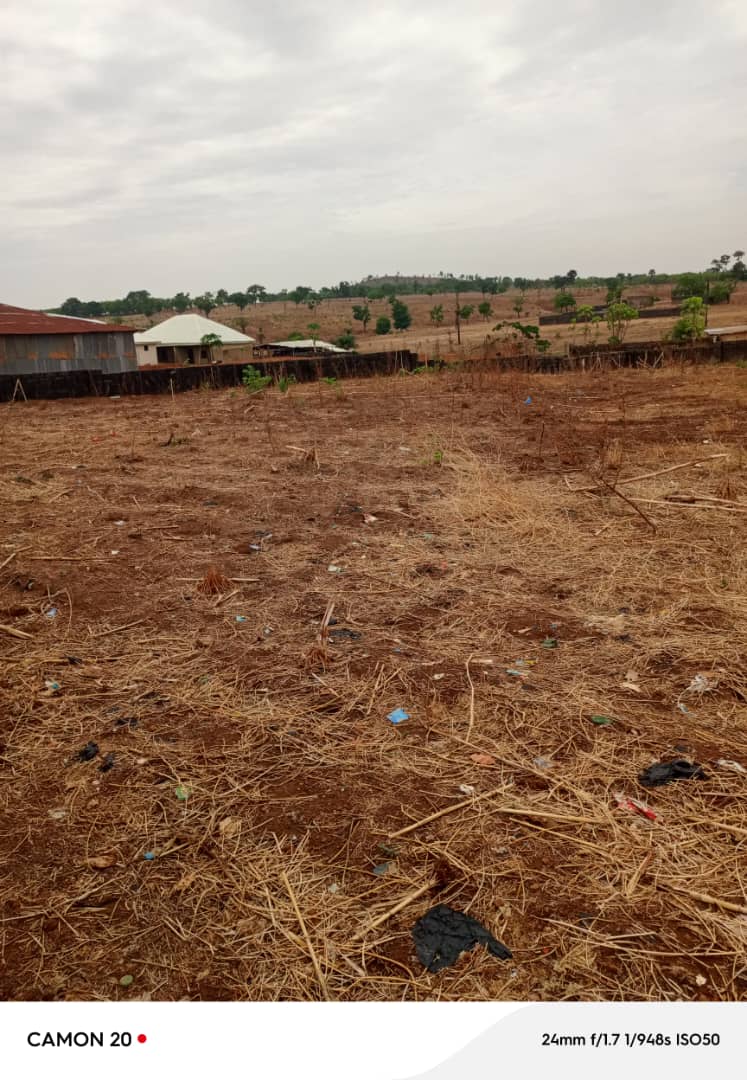 Kabusa Listing presents a 2060sqm virgin land for sale in Kabusa