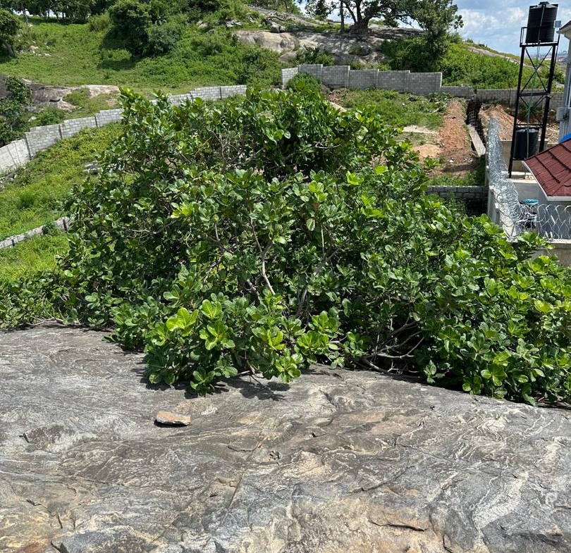 land for sale in Asokoro Rock Villa, Abuja