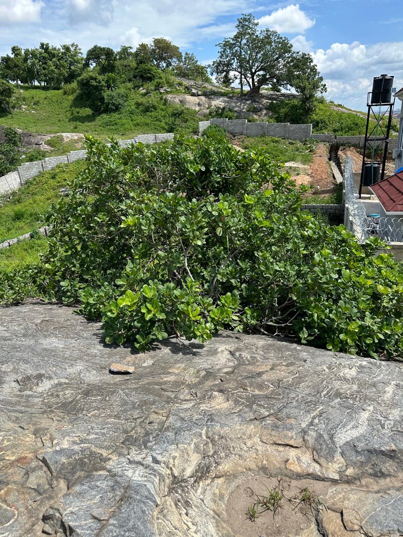 land for sale in Asokoro Rock Villa, Abuja