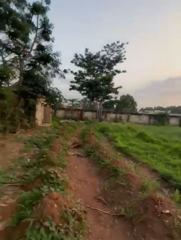 2370.63sqm commercial land for sale in Asokoro, Abuja