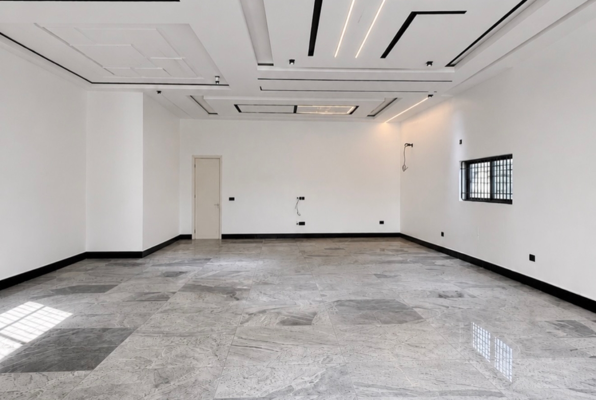 9 bedroom smart mansion for sale in Asokoro Extension, Abuja