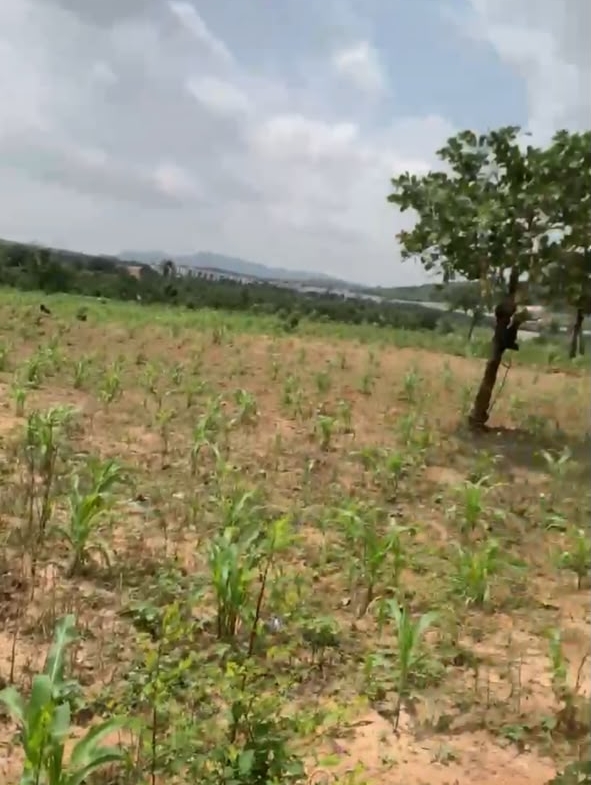 3.2 hectares land for sale in Idu Cadastral District, Abuja