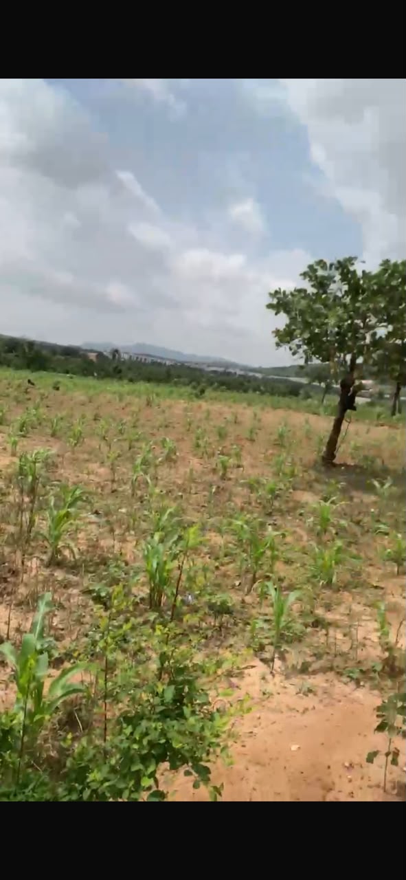 3.2 hectares land for sale in Idu Cadastral District, Abuja