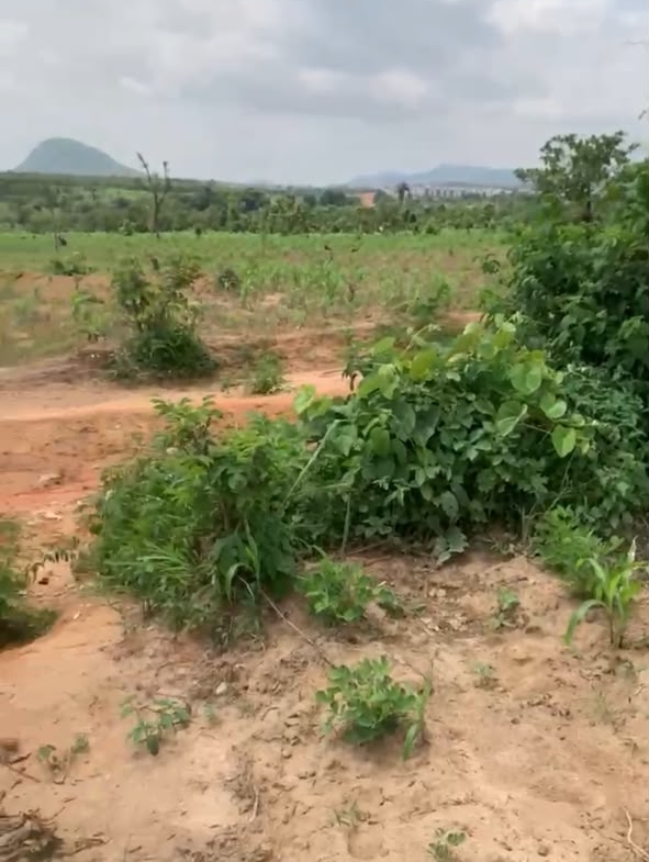 3.2 hectares land for sale in Idu Cadastral District, Abuja
