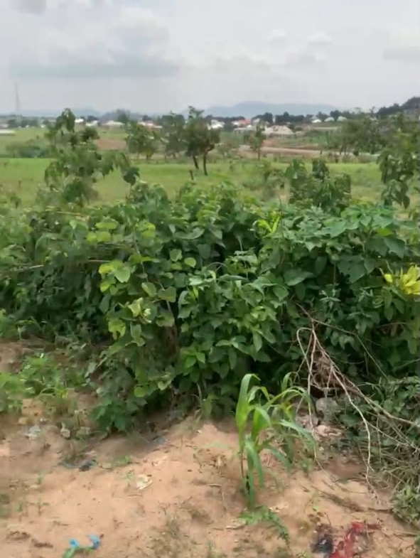 3.2 hectares land for sale in Idu Cadastral District, Abuja