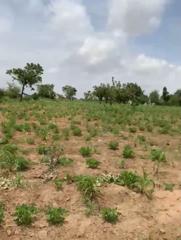 3.2 hectares land for sale in Idu Cadastral District, Abuja