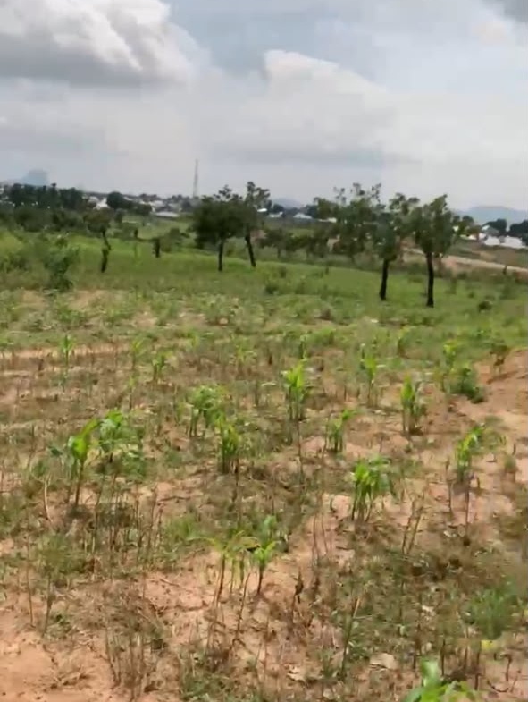 3.2 hectares land for sale in Idu Cadastral District, Abuja